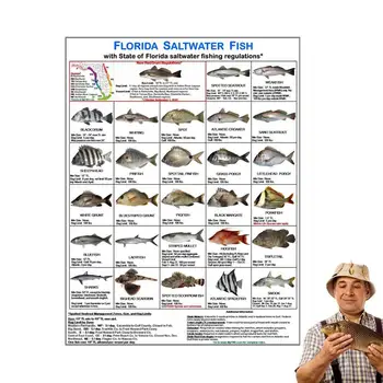 Идентификация карта морска риба Флорида Цветни снимки на правилата води във Флорида Идентификация карта рибар